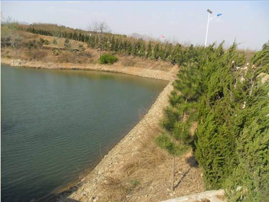 “水質純凈”自2002年承包廢棄地、荒山治理種植茶葉以來，園區內建造大口井